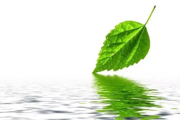 79岁老人生活感悟的经典句子,句句精辟有哲理