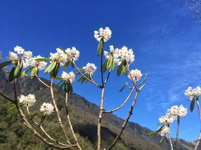 清明踏春冷门景点：看彩林、赏桂花，观峡谷，玩雪水，拒绝人挤人