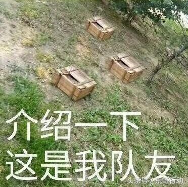 荒野行动:敌人都在游戏中干什么?可能他们真的不想吃鸡!