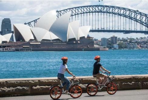 共享单车大逃杀,OFO补贴战还要打多久?