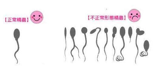 备孕期间,男性抽烟喝酒到底对胎儿有没有影响