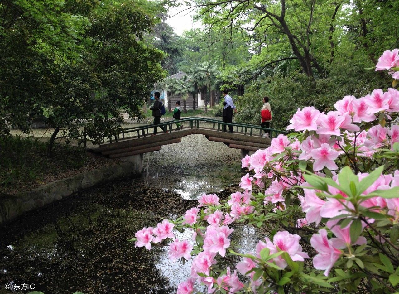 合肥植物园:安徽省旅游局推荐的安徽十处最美的地方之一。