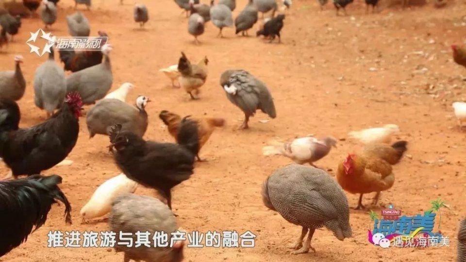 海南旅游三十年静美定安，祥和家园!