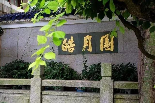 4天3晚自由行?玩转厦门所有景区最强攻略!