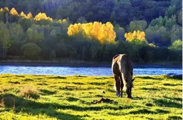 与世隔绝的世外桃源、隐藏在内蒙古大兴安岭深处的村庄:奇乾