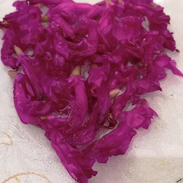 想让蟹爪兰2次开花,1种白粉末掺水浇,30天