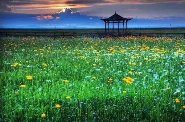 张家口最美的季节才刚刚开始，假期带家人来一场美好的自驾游吧！