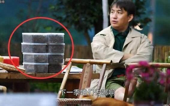 《向往2》收官期,黄磊带走蘑菇屋好多宝贝,何