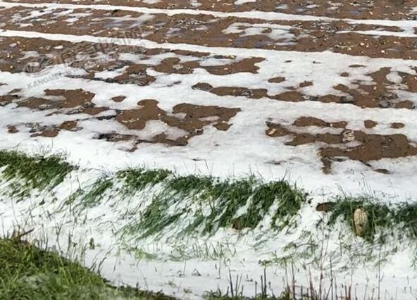 甘肃岷县遭遇特大暴雨冰雹，受灾有哪些？