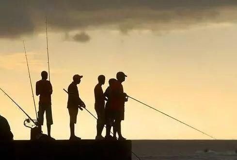 三月花开正艳,宜昌各地踏青赏花活动异彩纷呈