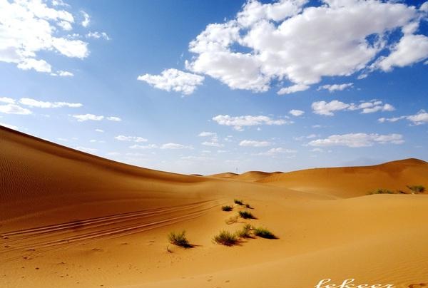 荒漠也不是荒漠了