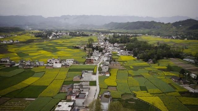 四川最失落的一座城市，被称为熊猫故乡，现沦落为四线城市