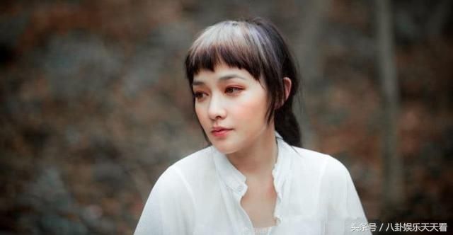 红极一时的毛宁、范晓萱、陈佩斯,人间蒸发的内幕,真相不为人知