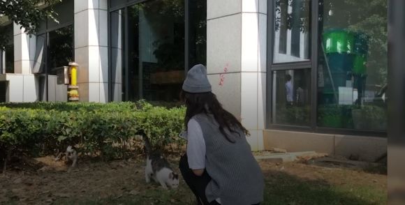 立遗嘱找律师多少钱