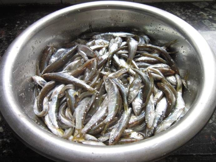 怎么晒鱼干才好吃 t019c7bf85211ec658d.jpg