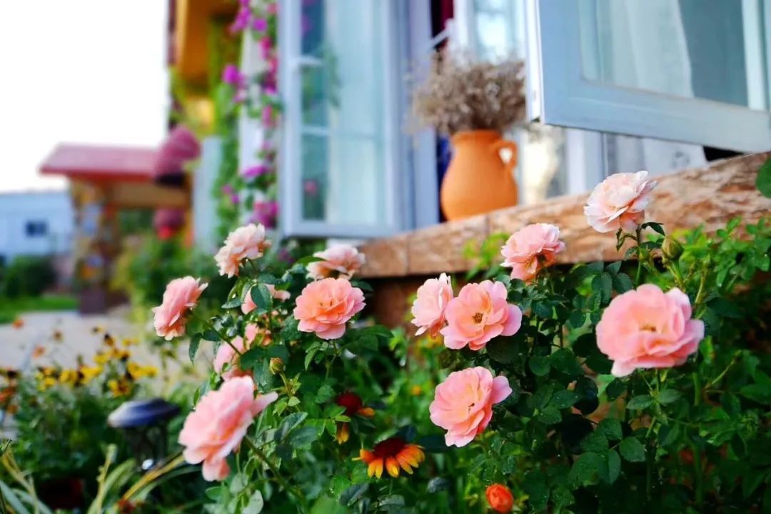 一对夫妻把青白江农家改造成“田园牧歌”，从此家有美景何必远方