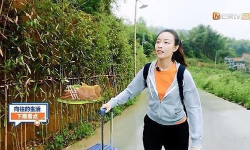 倪妮杨颖突袭《向往的生活》,身穿同款裤子,可