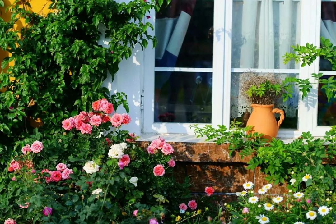 一对夫妻把青白江农家改造成“田园牧歌”，从此家有美景何必远方