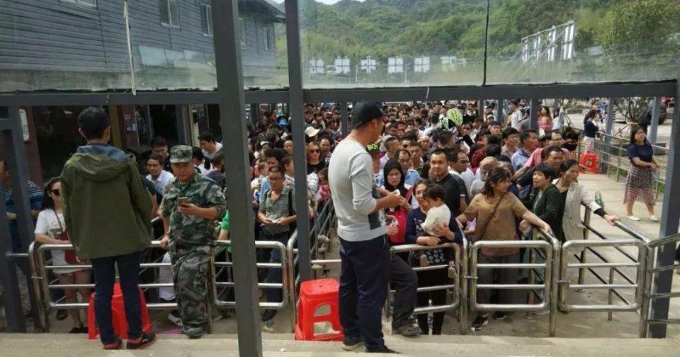 阳明山十万亩杜鹃燃爆 “五一”小长假 本周末仍是最佳花期