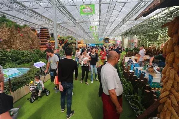 乡村振兴,人才问题怎么解决?看农业嘉年华如何