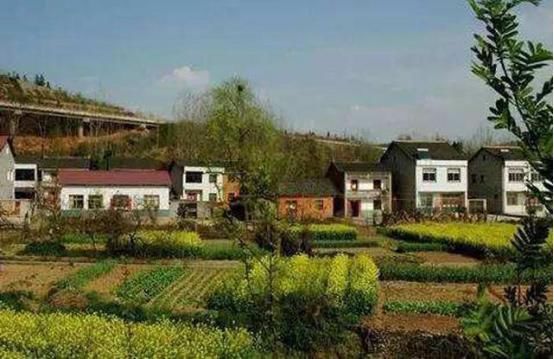 农民还在犯愁“自立门户”吗？只要这3点达到，其他都不是问题