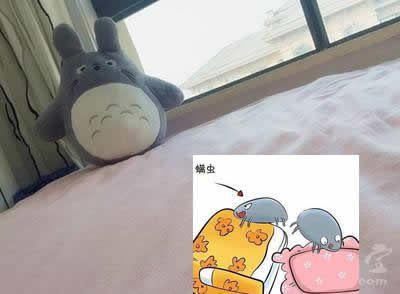 床上螨虫咬的症状图片:被螨虫咬伤的症状