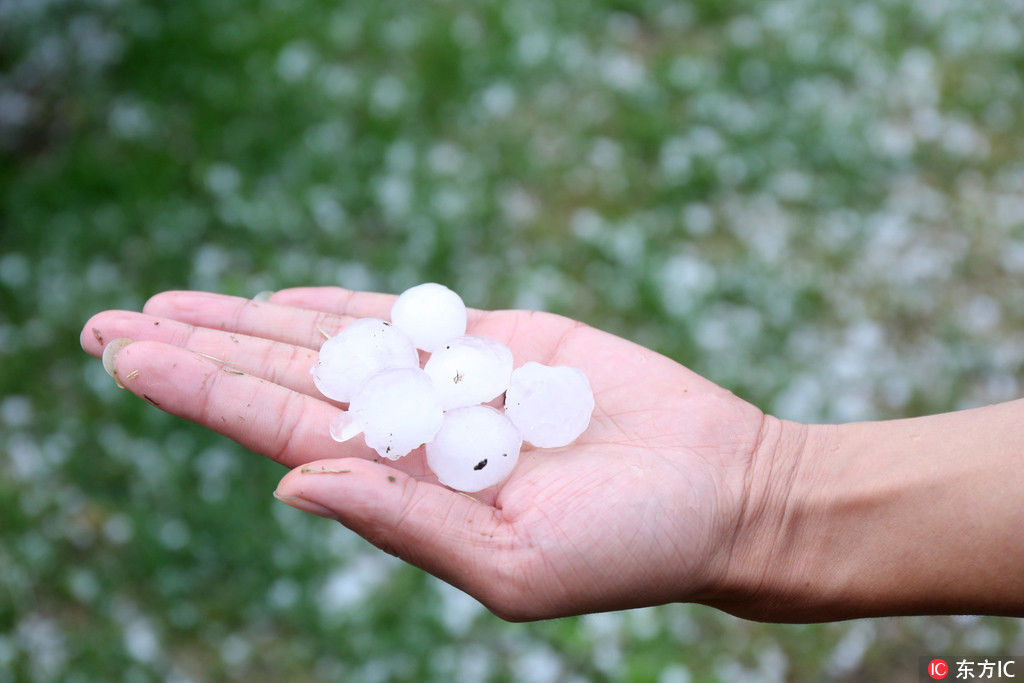 高清:黑河遭遇冰雹雨 南方游客坦言小城不大,