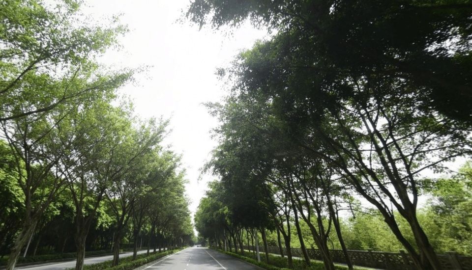 广西的这座大城市，发展速度飞一般的感觉，包容性很强，市民善良