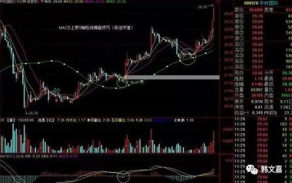 别说不会MACD指标，这样的信号让多少新手规避掉了风险