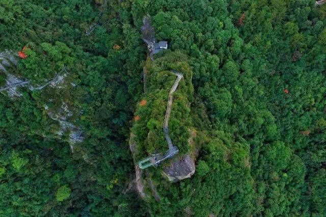 夏至未至，温州的风刚刚好！山间、水旁、乡野、海边……走起吧~