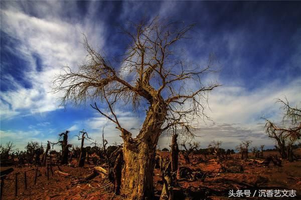 隋朝和突厥最惨烈一战，2000对十万拳头见骨将突厥人打哭