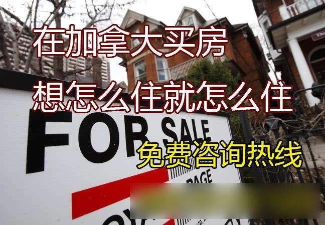 加拿大楼市闪崩, 购房人: 骗我来买房的中介们你们良心不痛吗?