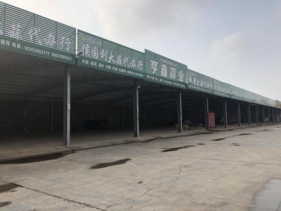 别再炒作!开封蒜农希望大蒜价格回归正常轨道