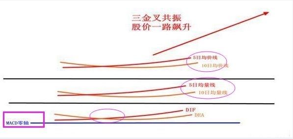 股神胡立阳:这几种中线买卖才是股市最快盈利方法，建议股民收藏