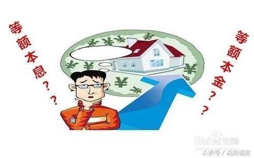 t019ea10eac9c844ce6.jpg