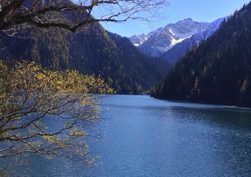 保险公司年终总结