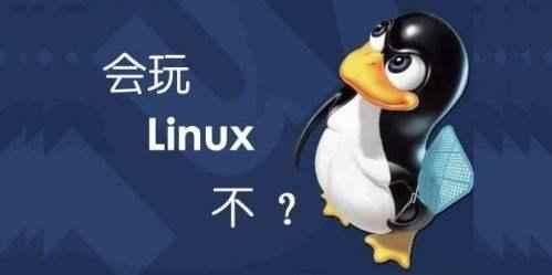 Linux系统和Windows系统有什么区别?专家告诉