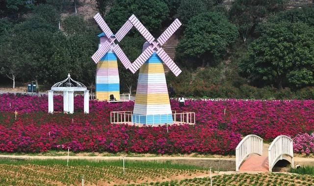 户外野炊烧烤踏青推荐