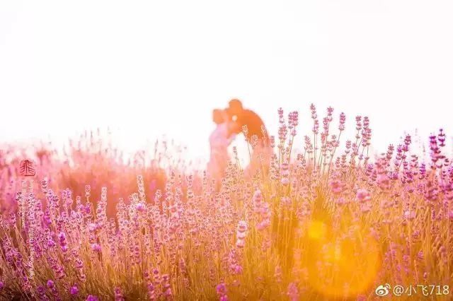 南京这些超适合一日游的地方,每一个都美如画!不看要后悔!