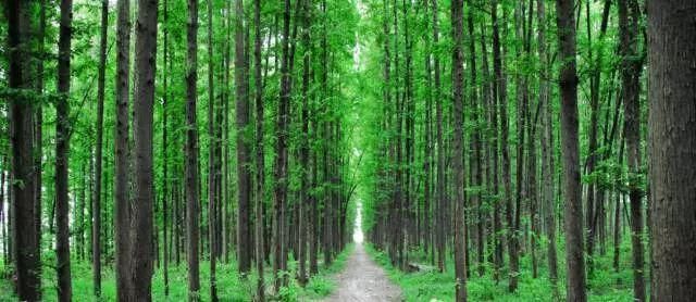 中国湖北居然隐藏了一个旷世仙境 让外国人都为它折服