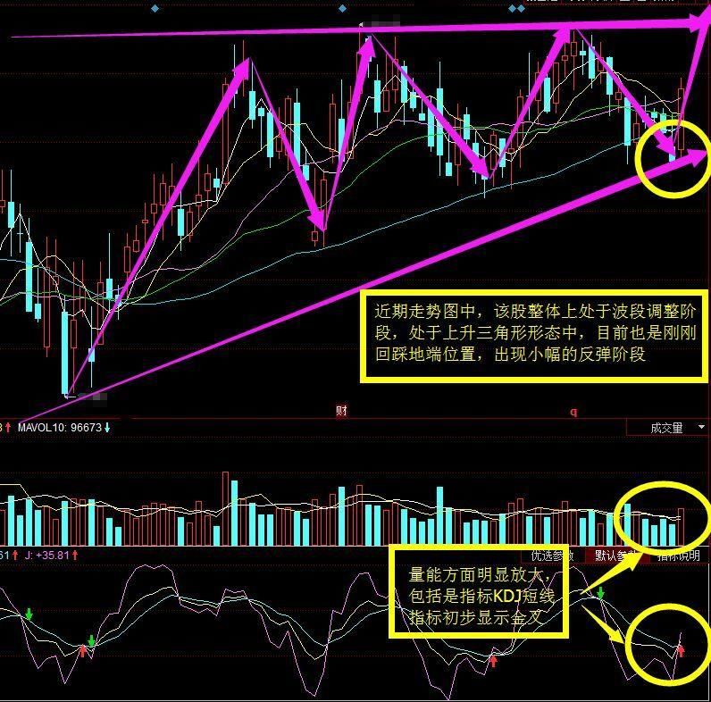 史诗级大利好来袭!大股东增持500亿 李大霄:下周全仓抄底就是赚