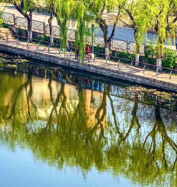 青岛这个公园颜值高：柳湖绿如蓝 碧水秀春色