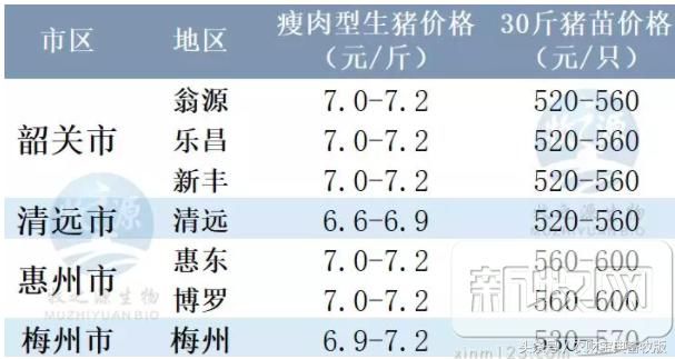 消费提升，猪价止跌回升！全国最新生猪报价