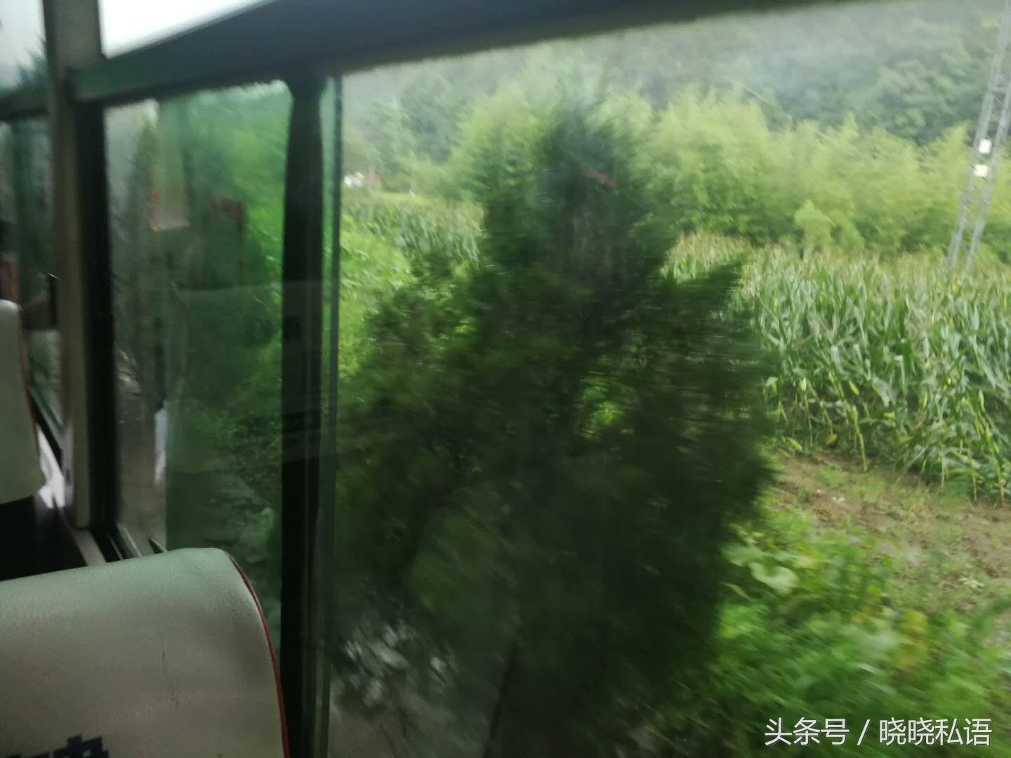 姑娘坐公交车去浙江金华1小山村,虽然道路颠簸