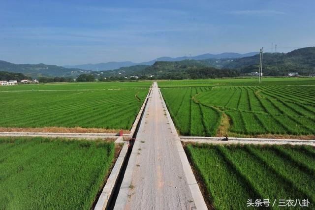 2018年农村土地将有四大变化，土地升值后，这些土地将被收回！