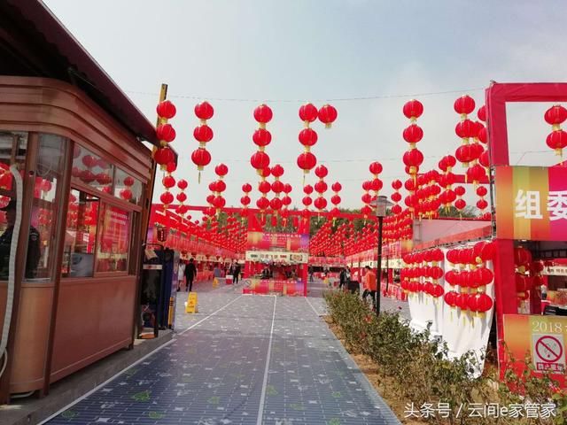 今年留在深圳过年的有福了：大鹏所城开启新春庙会，好不热闹