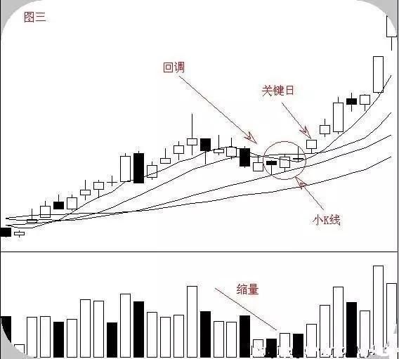 中国股市出现大逃亡现象，主力机构全部阵亡，谁在操纵中国股市？