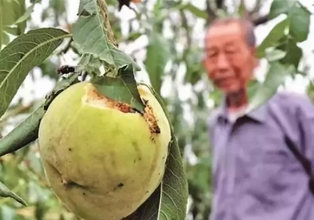 走了“厄尔尼诺”，来了“拉尼娜”，专家预测今年雨水将显著增多