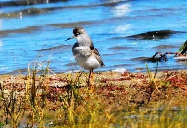 张家口最美的季节才刚刚开始，假期带家人来一场美好的自驾游吧！