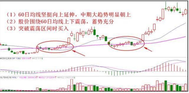 中国股市的本质：散户唯有选股才能存活下去!